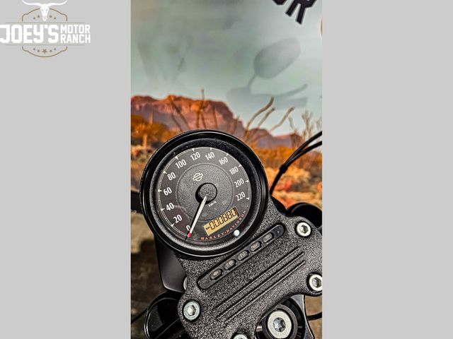 harley-davidson - sportster-iron-xl-883-n