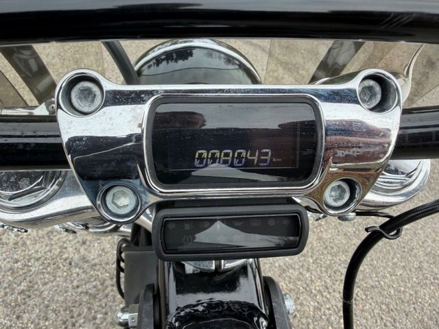 harley-davidson - softail-standard-fxst