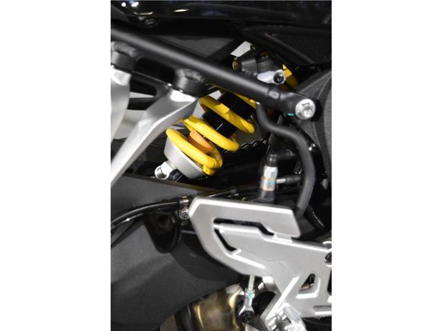 QJMOTOR - srk-800-rr