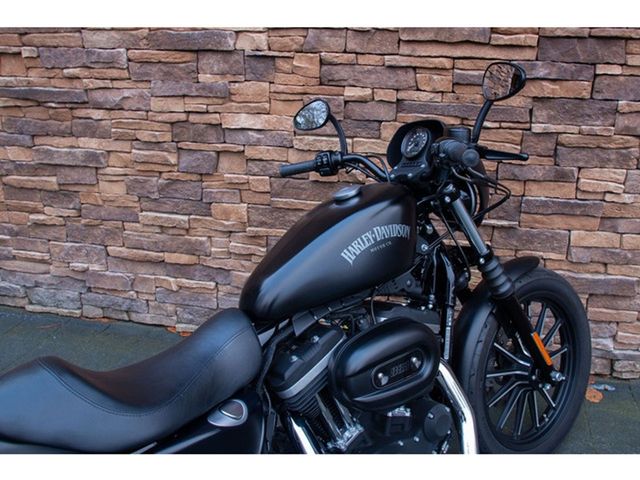 harley-davidson - sportster-iron-883