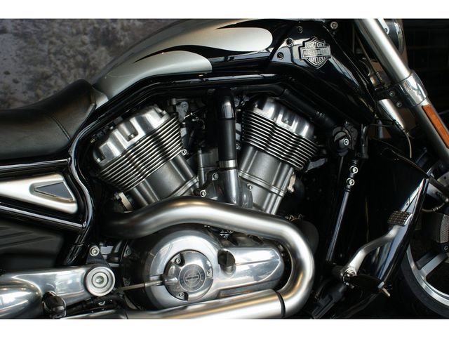 harley-davidson - v-rod-muscle-vrscf