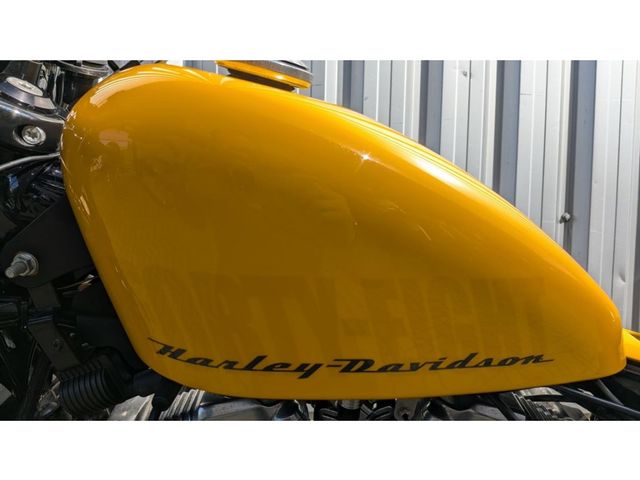 harley-davidson - sportster-forty-eight-xl-1200-x