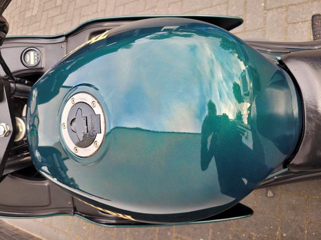triumph - trophy-900