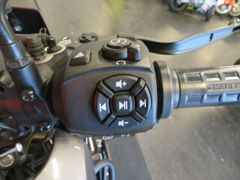 Harley-Davidson PAN America 1250 RA Special BTW 5HD 2021 occasion – foto 13 van 16