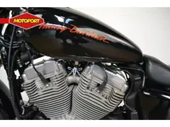 Harley-Davidson XL 883 L 2013 occasion – foto 6 van 7