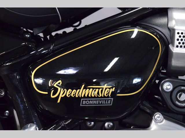 triumph - bonneville-speedmaster-goldline