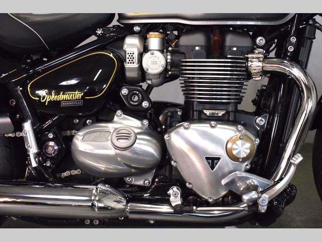 triumph - bonneville-speedmaster-goldline