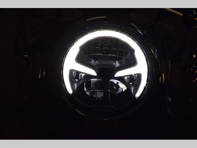 triumph - bonneville-speedmaster-goldline