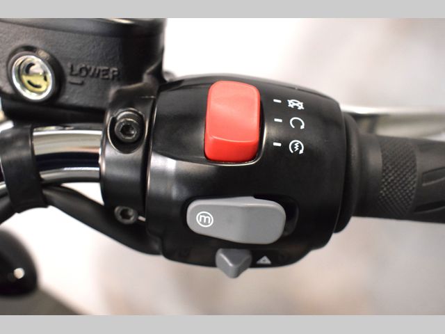 triumph - bonneville-speedmaster-goldline