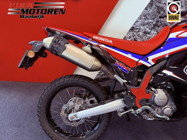 honda - crf-300-rally