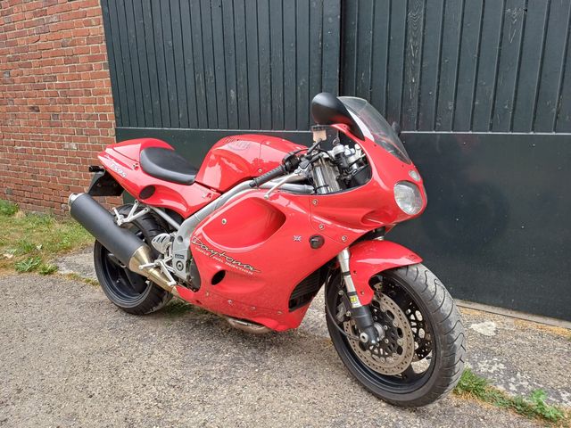 triumph - daytona-t--595