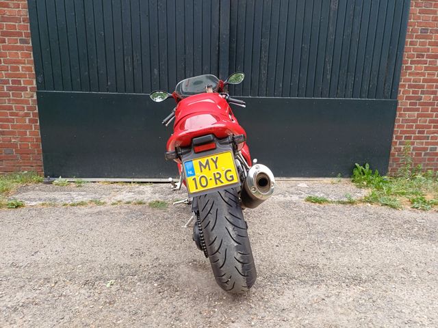 triumph - daytona-t--595