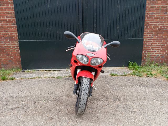 triumph - daytona-t--595
