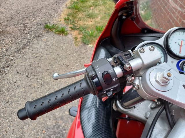 triumph - daytona-t--595