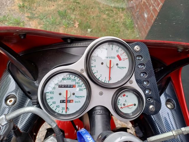 triumph - daytona-t--595