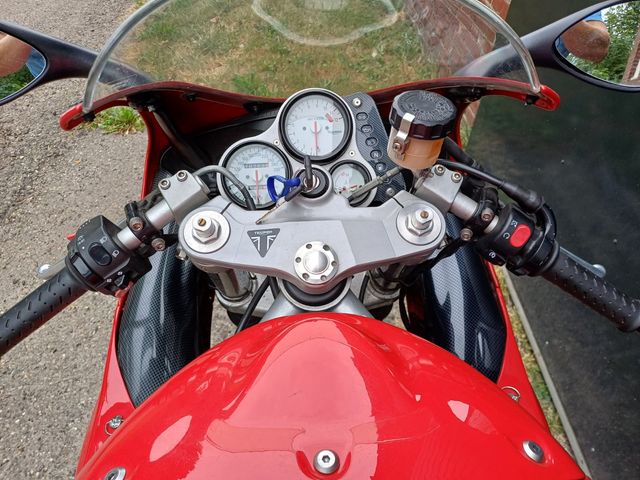 triumph - daytona-t--595