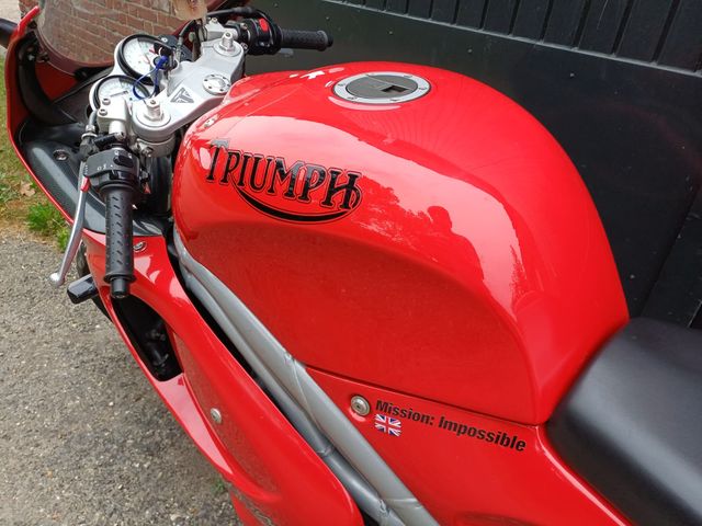 triumph - daytona-t--595