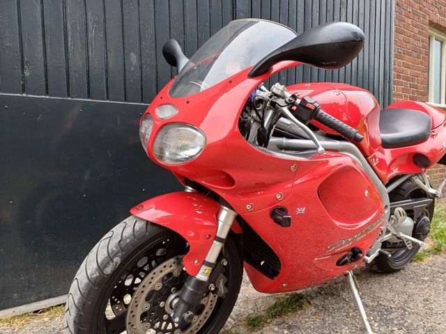 triumph - daytona-t--595