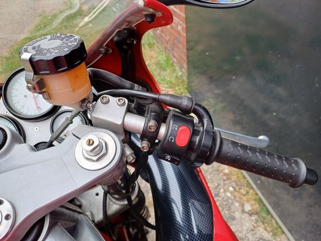 triumph - daytona-t--595