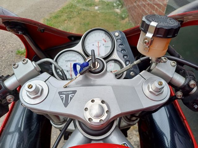 triumph - daytona-t--595
