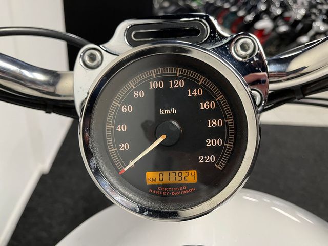 harley-davidson - sportster-custom--xl-53-c