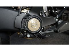 Zero DSR/X 17.3 + € 2.500,- 20TH Anniversary Rider Bonus * 2026 nieuw – foto 10 van 20