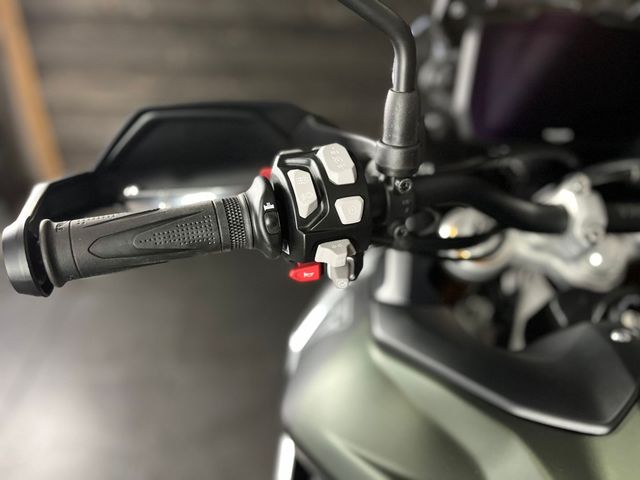 triumph - tiger-900-rally-pro