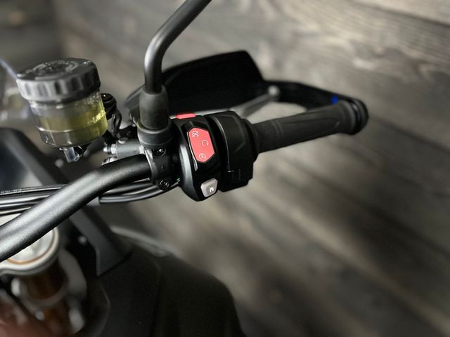 triumph - tiger-900-rally-pro