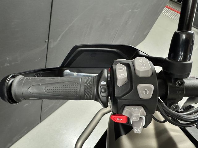 triumph - tiger-900-rally-pro