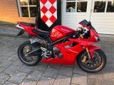 TRIUMPH DAYTONA 675