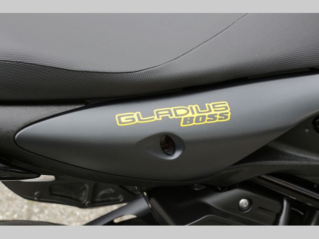 suzuki - gladius-abs