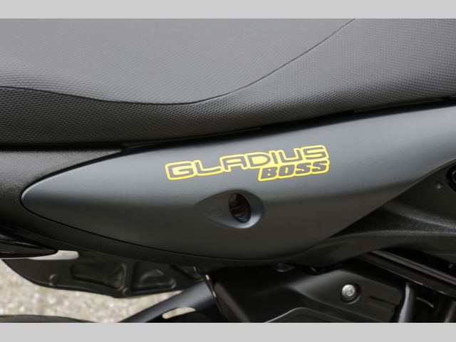 suzuki - gladius-abs