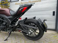 Benelli 502 C 2026 nieuw – foto 9 van 14