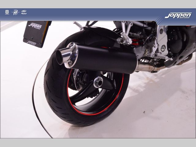 triumph - daytona-t--595
