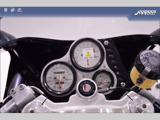 triumph - daytona-t--595