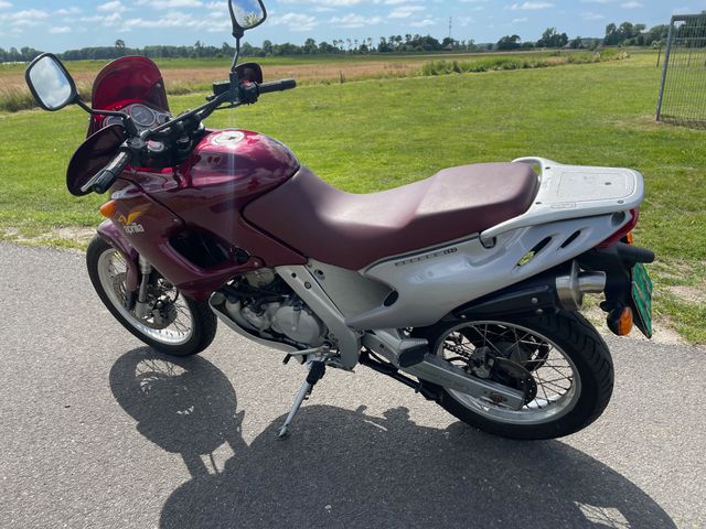 aprilia - pegaso-650