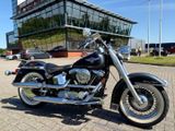 HARLEY-DAVIDSON NOSTALGIA SOFTAIL SPECIAL FLSTN