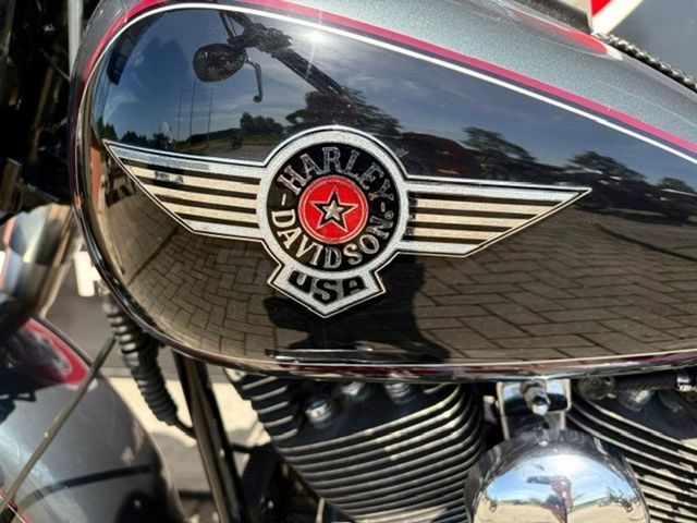 harley-davidson - nostalgia-softail-special-flstn