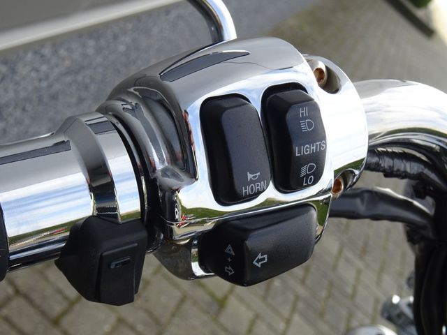 harley-davidson - springer-flsts-softail