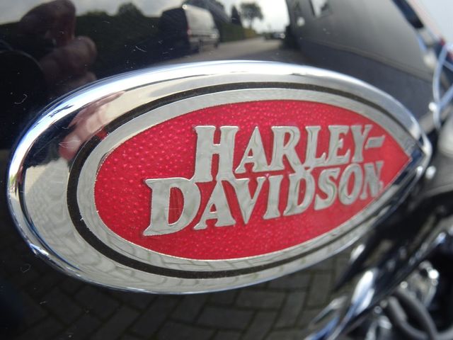 harley-davidson - springer-flsts-softail