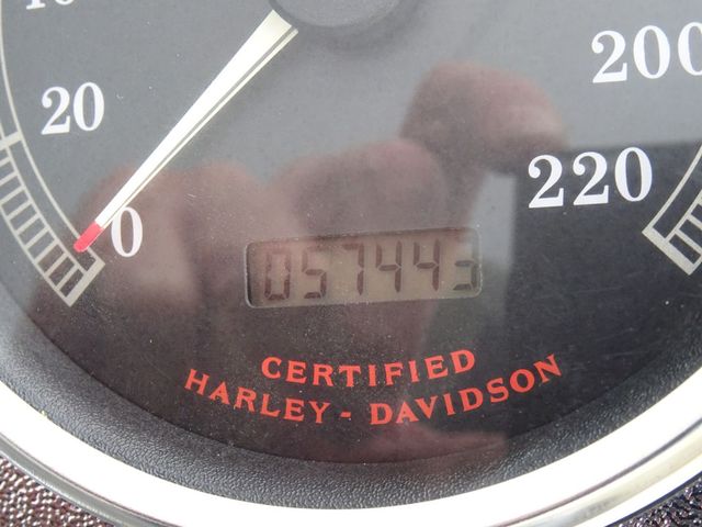 harley-davidson - springer-flsts-softail