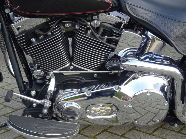 harley-davidson - springer-flsts-softail