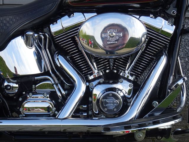 harley-davidson - springer-flsts-softail