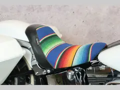 Harley-Davidson Deluxe mexican style 2005 occasion – foto 11 van 16
