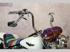 Harley-Davidson Deluxe mexican style 2005 occasion – foto 13 van 16