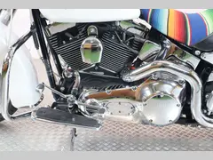 Harley-Davidson Deluxe mexican style 2005 occasion – foto 4 van 16