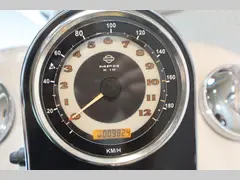 Harley-Davidson Deluxe mexican style 2005 occasion – foto 16 van 16