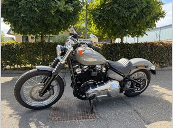 Harley-Davidson Softail Standard 2022 occasion