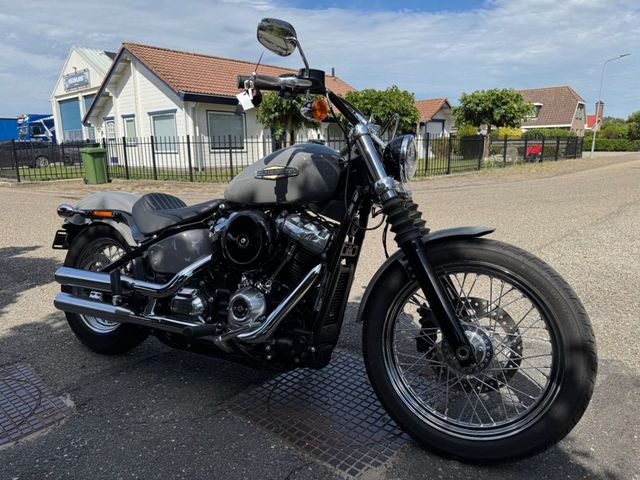 harley-davidson - softail-standard