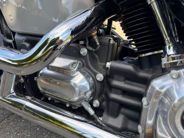 harley-davidson - softail-standard